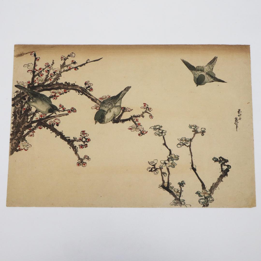 葛飾北斎　大判　木版画　花鳥図　浮世絵　梅　鳥