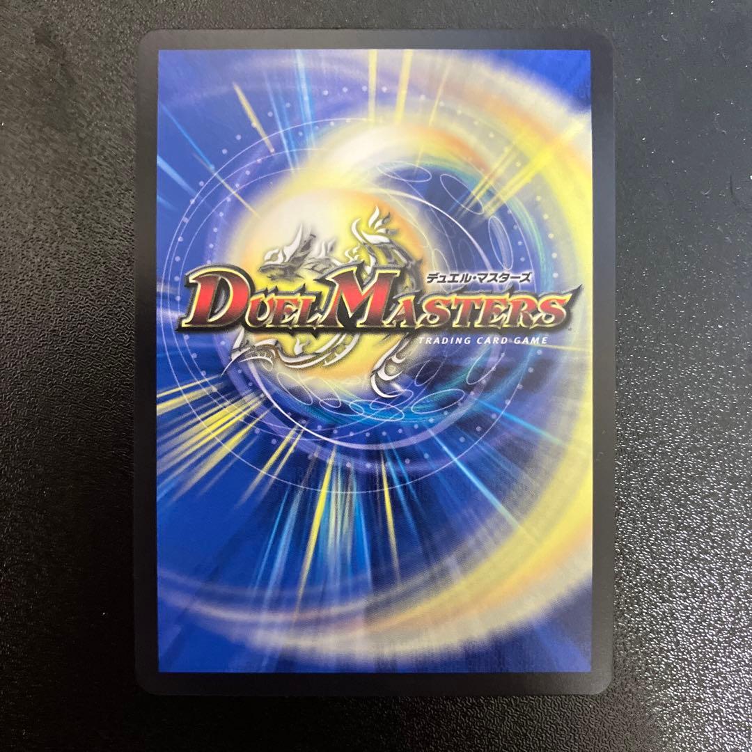 専用 流星のガイアッシュ・カイザー 神アート2枚セット L108134396