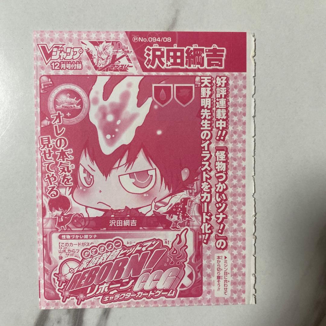 未開封】沢田綱吉 怪物づかい ツナ 家庭教師ヒットマン REBORN