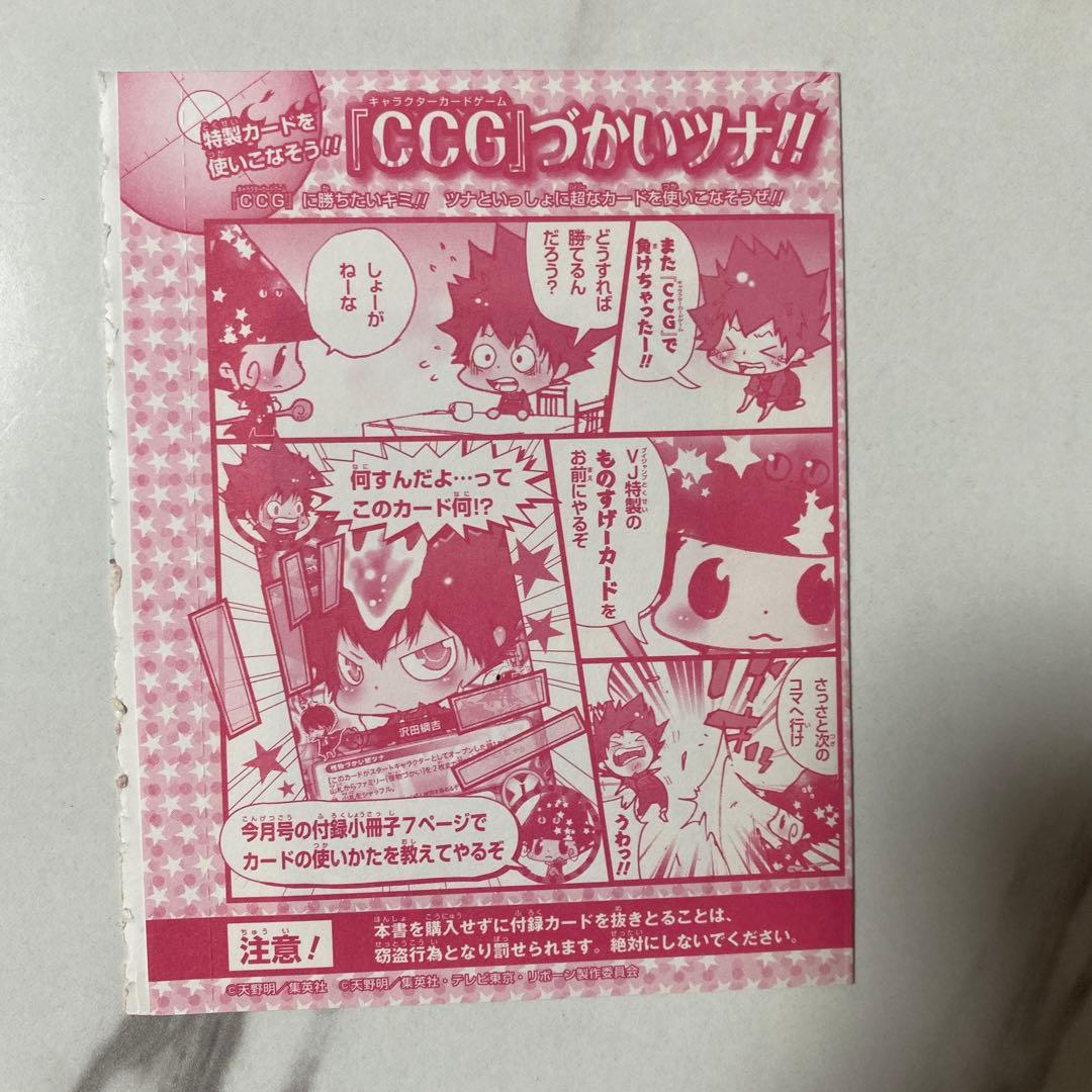 未開封】沢田綱吉 怪物づかい ツナ 家庭教師ヒットマン REBORN