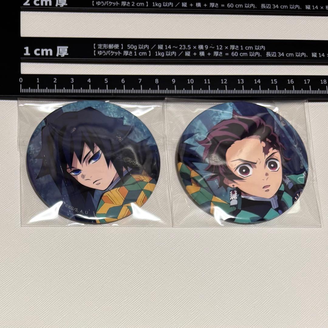 鬼滅の刃 竈門炭治郎・冨岡義勇 缶バッジ 2個セット - メルカリ