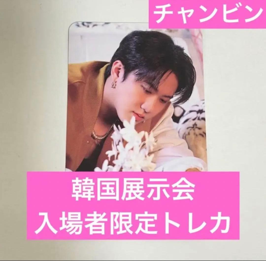 stray kids 5-STAR 展示会 入場特典 チャンビン トレカ スキズ - メルカリ