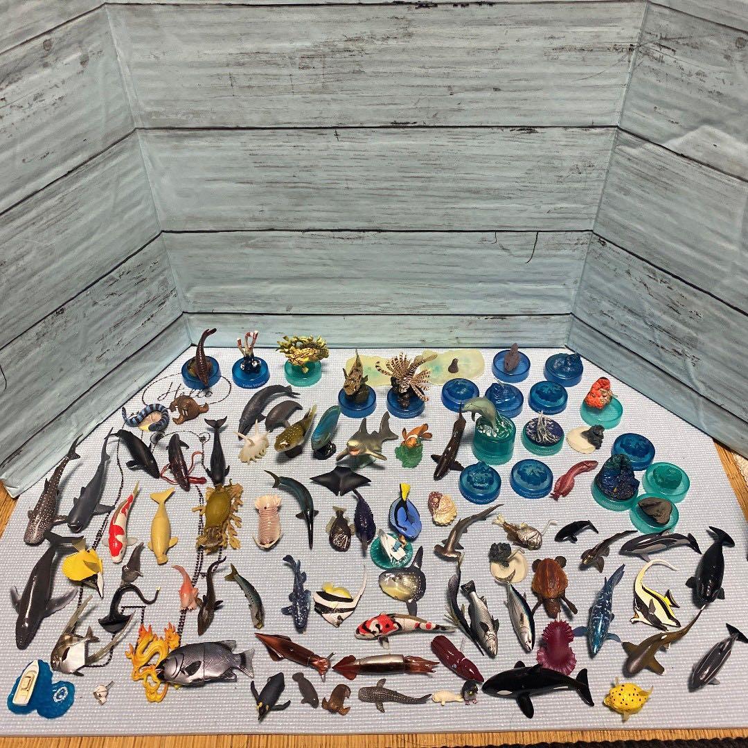 海洋堂 海の生き物 魚 動物 人間 フィギュア まとめ セット - メルカリ