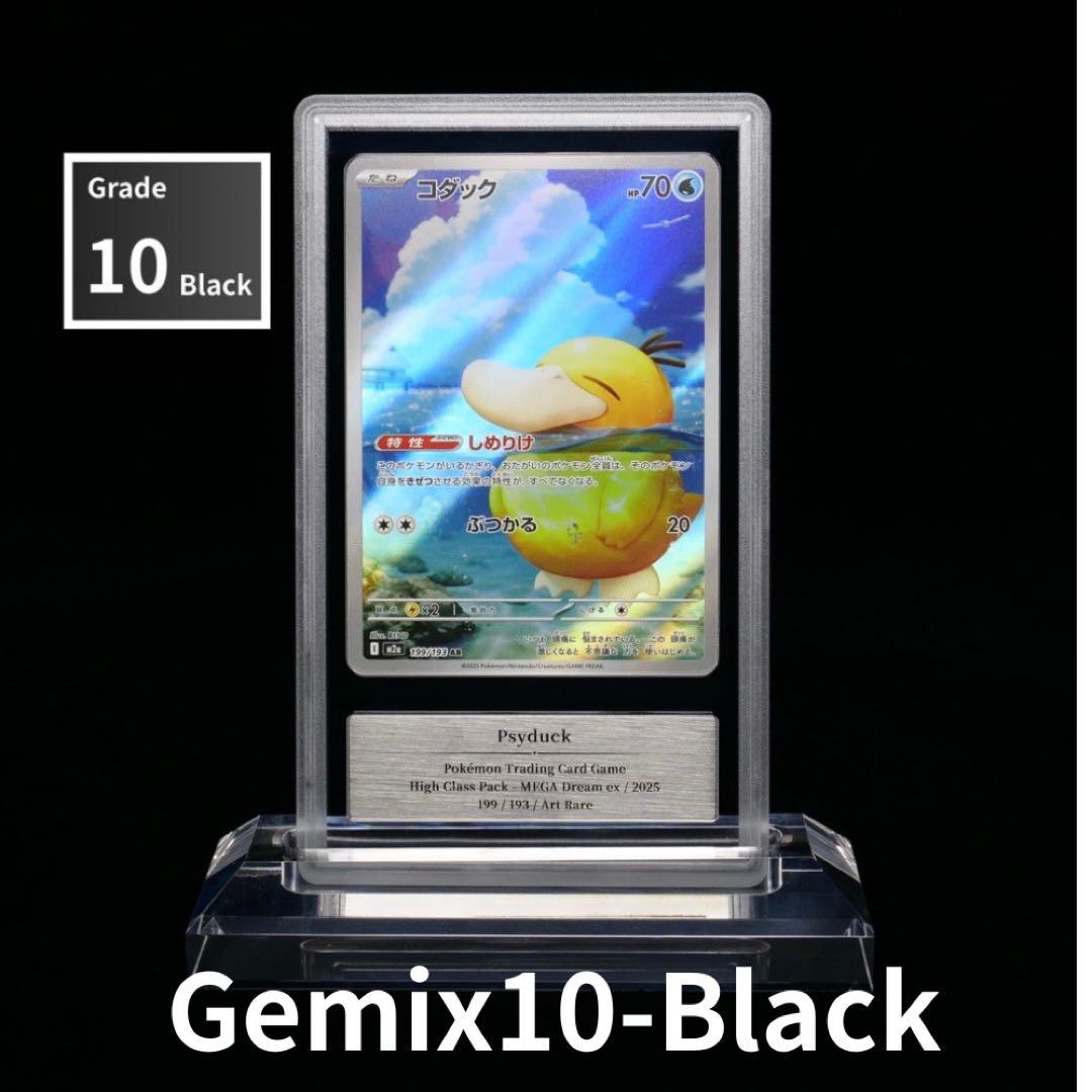 【*)様 【gemix10 BLACK】　コダックar M2a 199/193