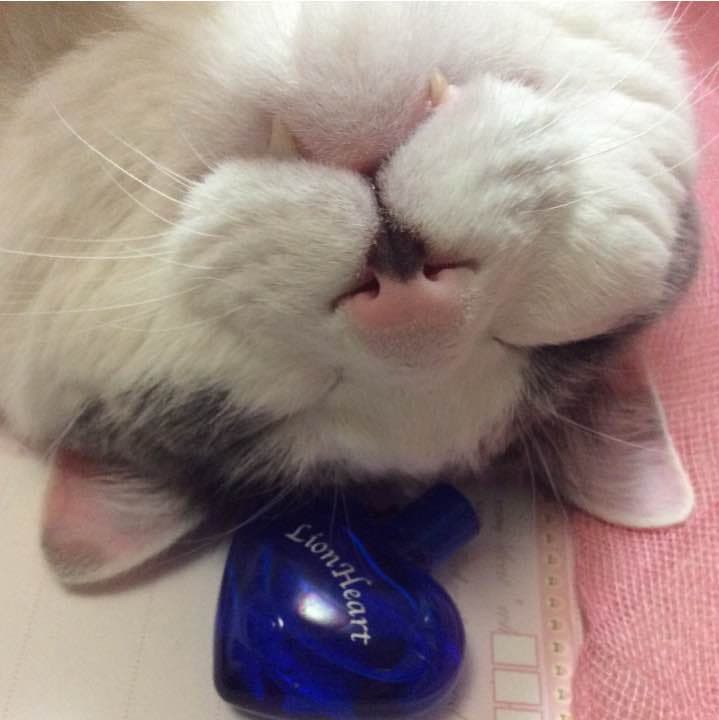 【お取り置き品】ライオンハート オードトワレ 10ml ライオンハート ベルセルク オードトワレ｜ライオンハート｜ブランド