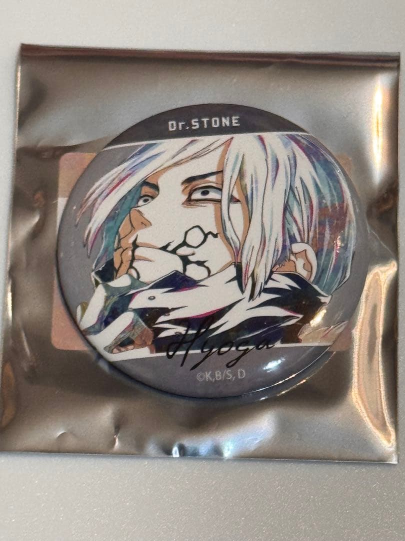 送料込み/氷月/Ani-Art/アニアート/缶バッジ/Dr.STONE/ドクスト - メルカリ