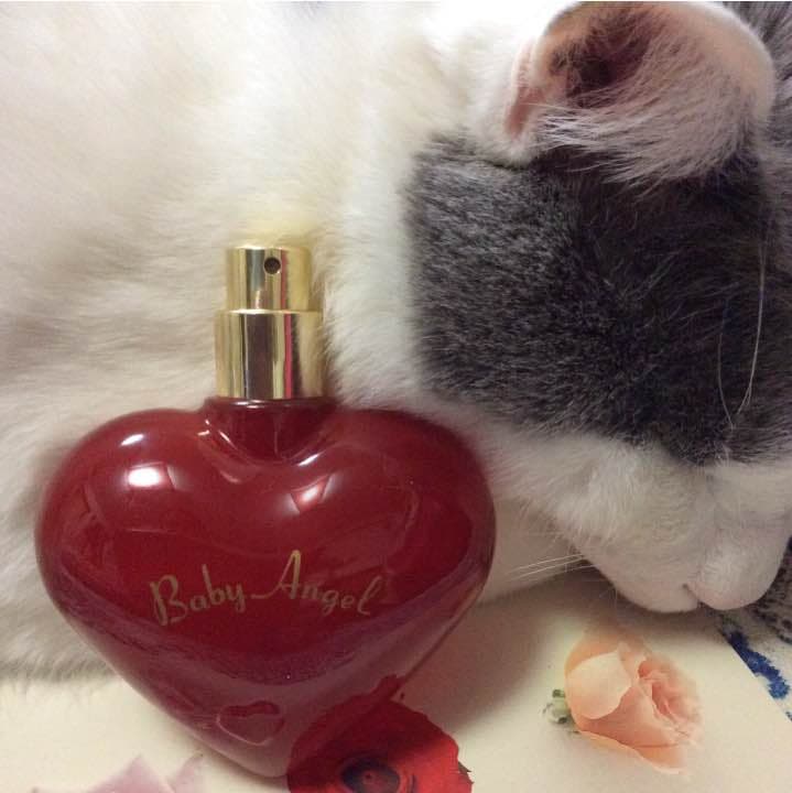 【お取り置き品】