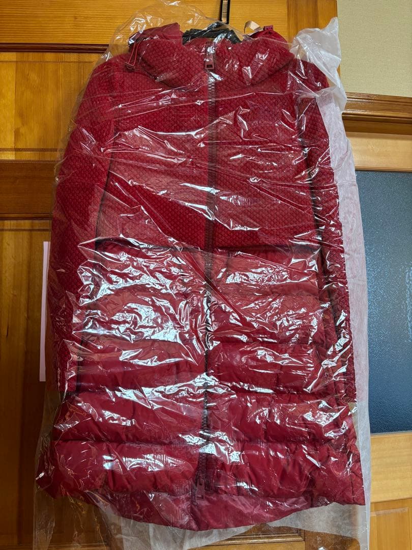 Aya Iinuma 　HERNO ダウンジャケット