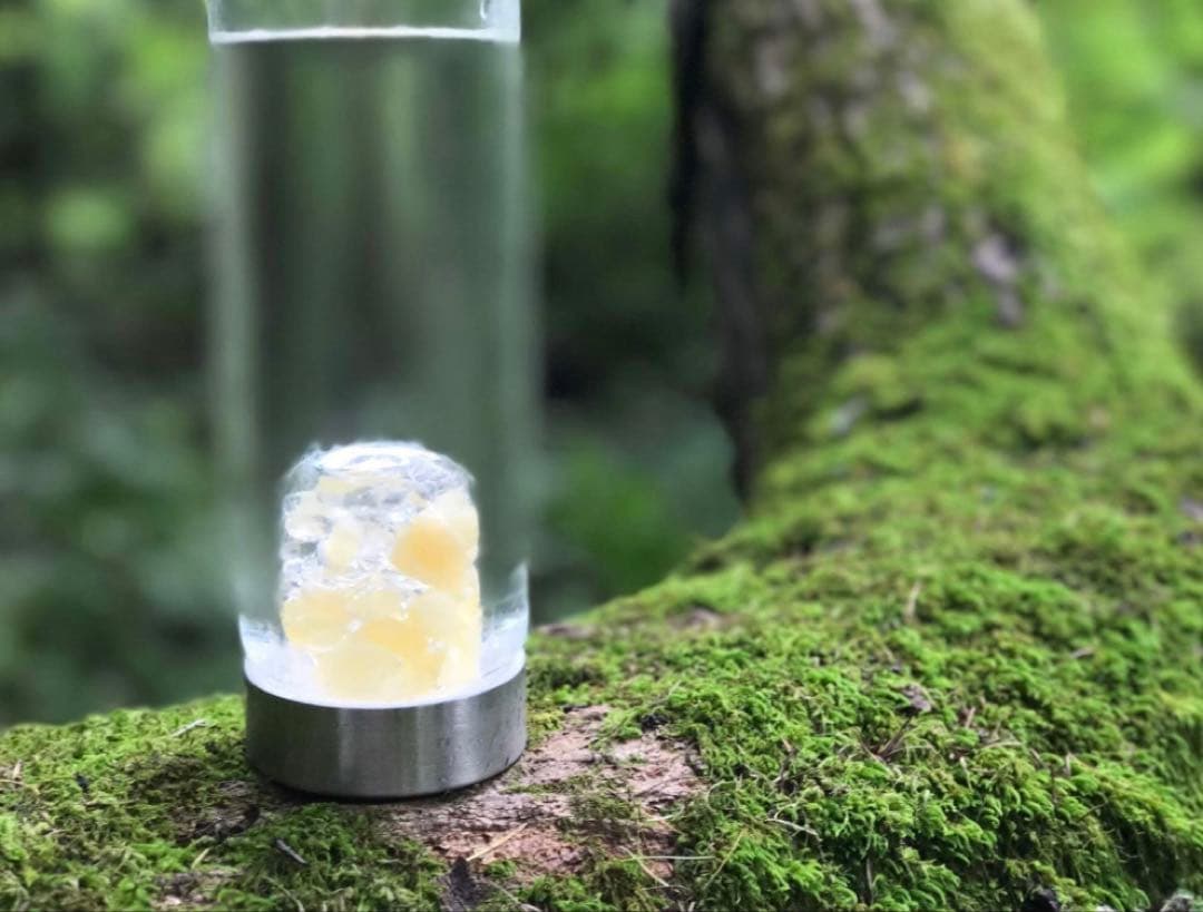 Vita]uwel ヴィタジュエル　サニーモーニング