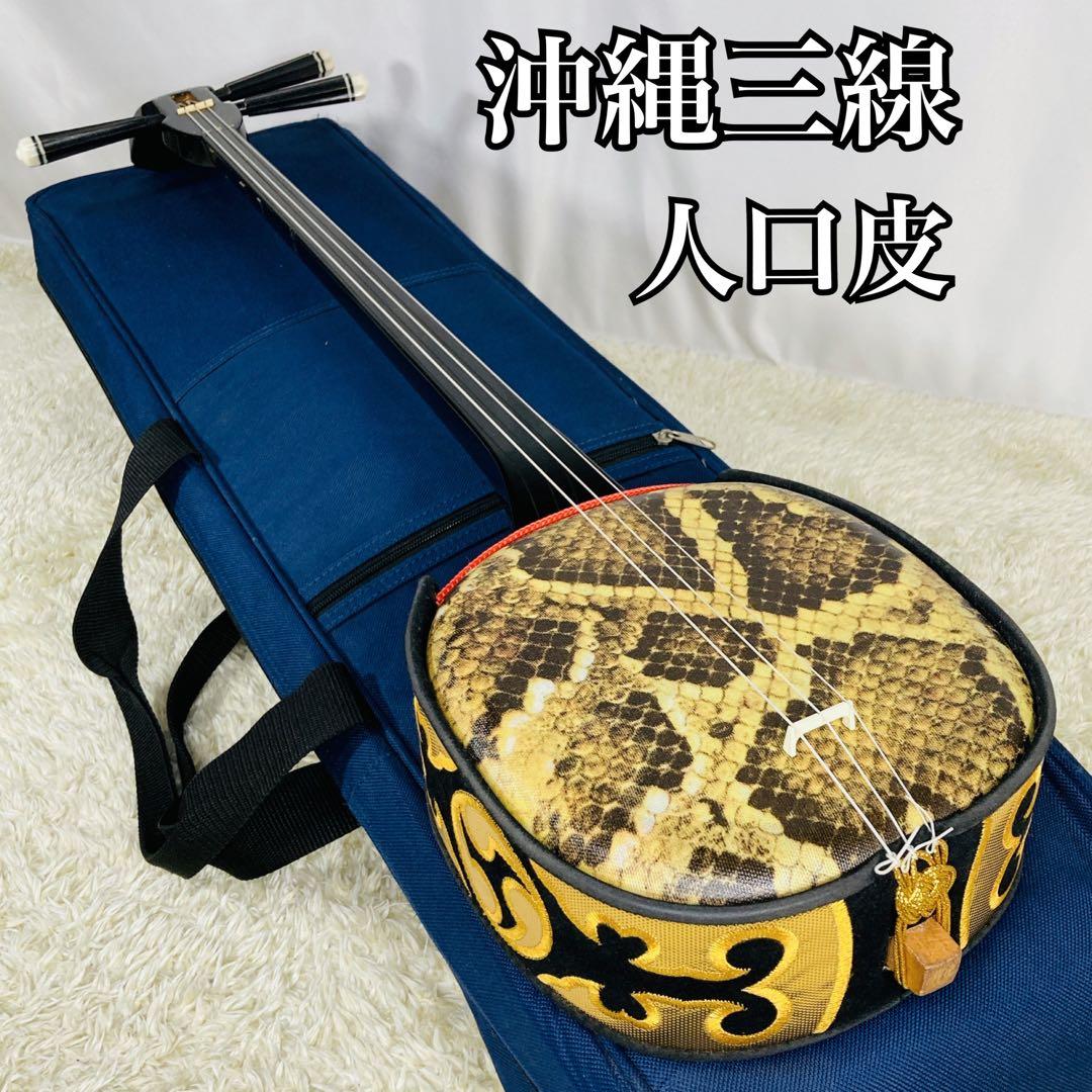 沖縄三線 ソフトケース 人口皮 入門 三線 沖縄 初心者セット 教本有り
