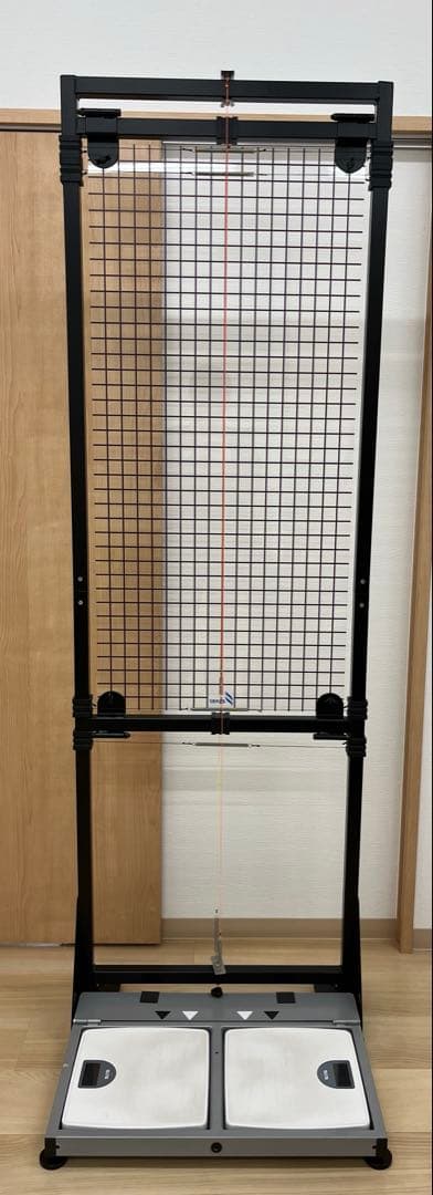 【送料込・たのメル便】エサキオリジナル 姿勢分析器