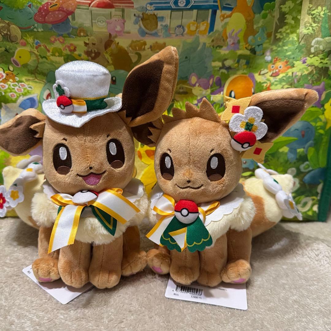 みんみ　ポケパーク　カントー　イーブイ　ぬいぐるみ