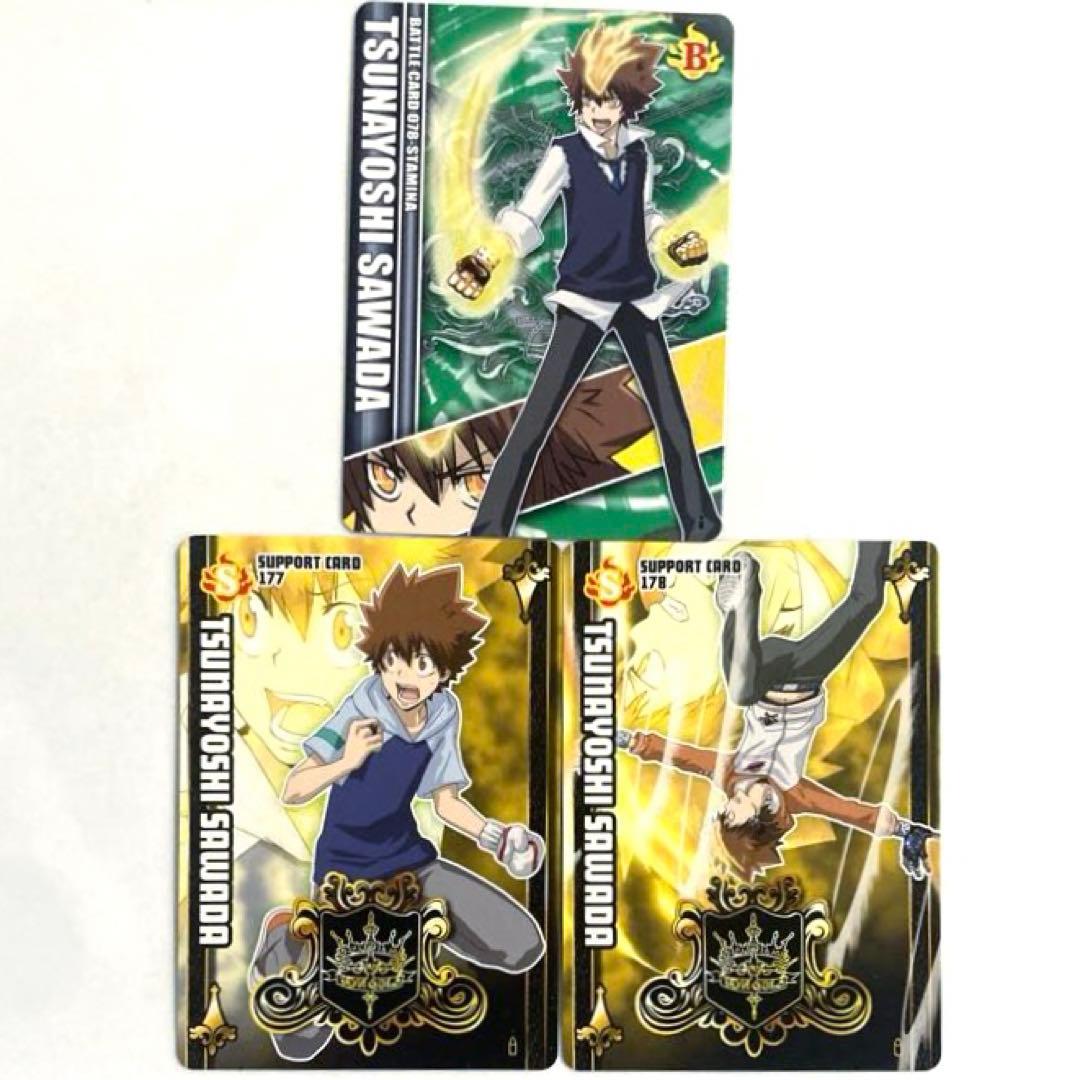 家庭教師ヒットマンREBORN! サザンクロスバトルカード 沢田綱吉 ツナ 3