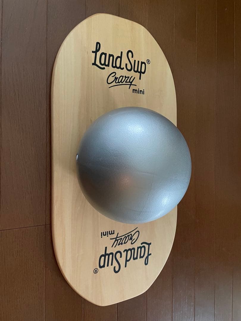 Land Sup Crazy mini バランスボード