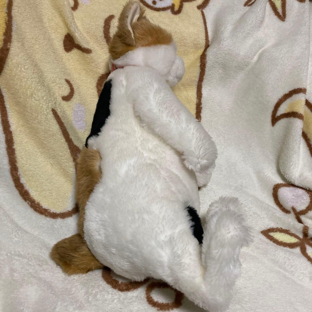 cuddly カドリー 小春 鈴ハートの穴 三毛猫 ぬいぐるみ 中古品 - メルカリ