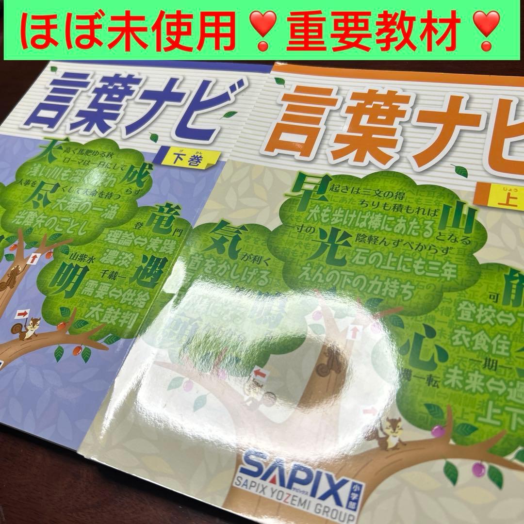 ⑲ A SAPIX ほぼ未使用　サピックス　言葉ナビ　上巻　下巻　重要教材