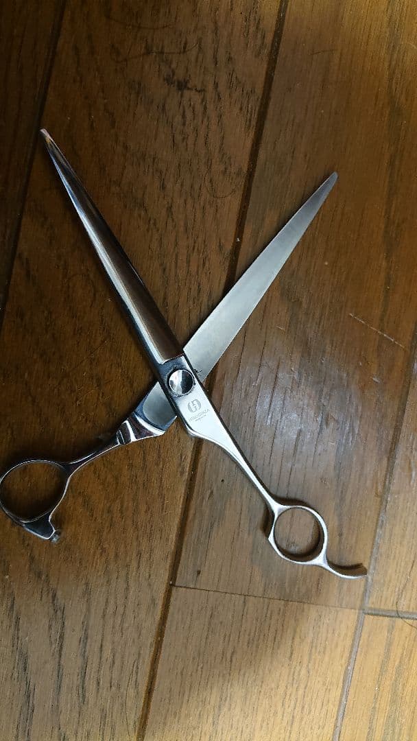 ネイルシザー セルフネイルのネイルデザイン | グロッシーコート｜スキューズミー