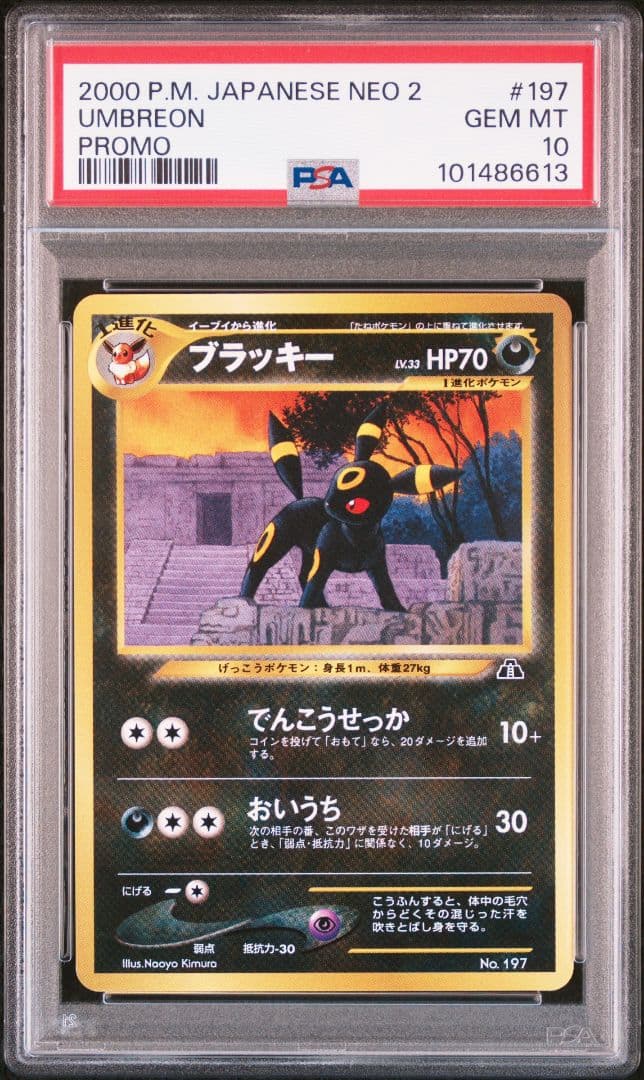 PSA10 ブラッキー 旧裏 プレミアムファイル2