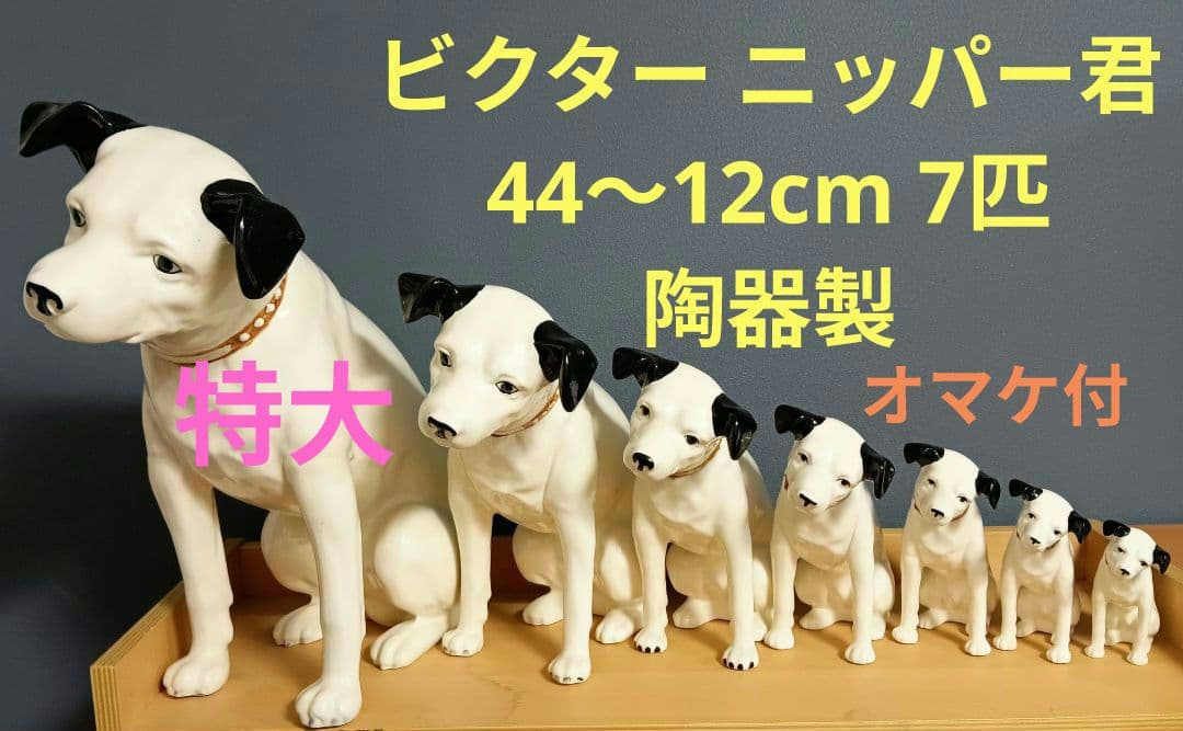 ビクター ニッパー犬 ニッパー　特大44cm～ 7匹 手渡し希望 千葉県習志野市