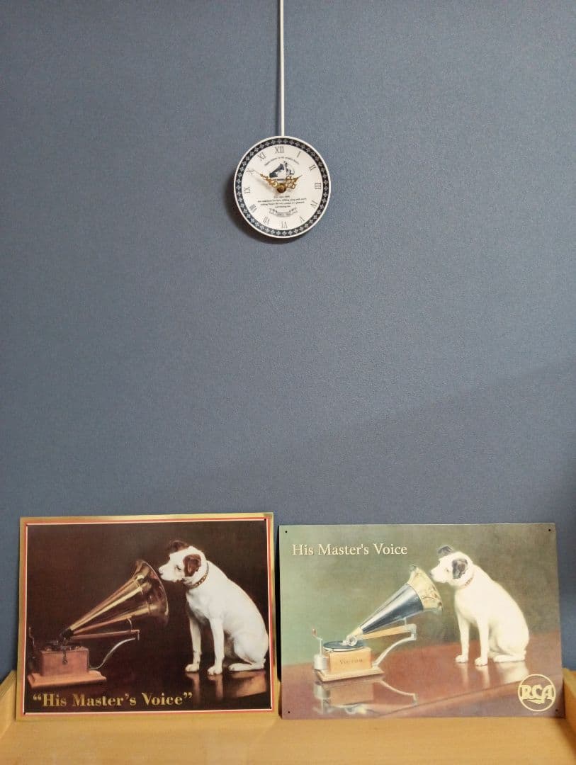 ビクター ニッパー犬 ニッパー 特大44cm～ 7匹 手渡し希望 千葉県