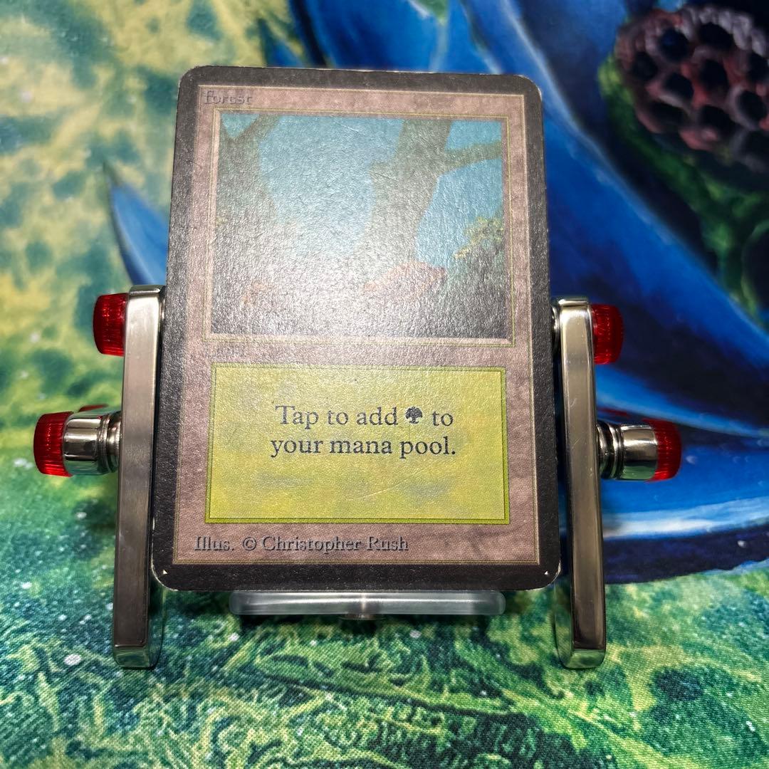 51 190 《森/Forest》MTG アルファ α [LEA] 基本土地 - メルカリ