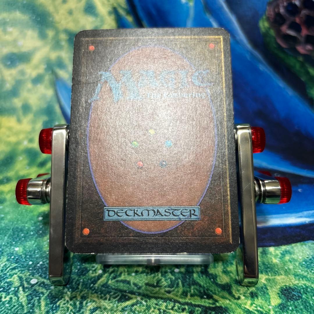 51 190 《森/Forest》MTG アルファ α [LEA] 基本土地 - メルカリ