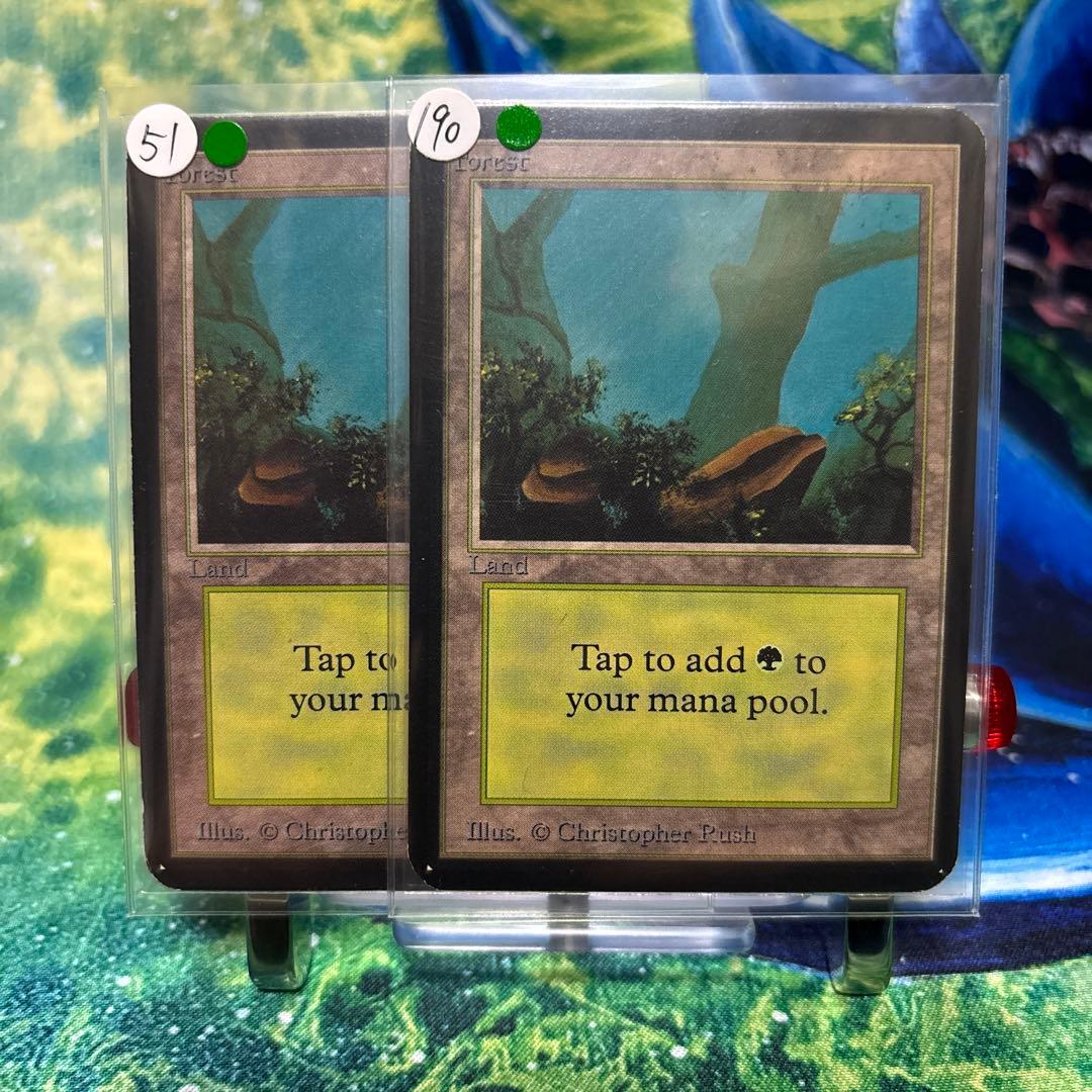 51 190 《森/Forest》MTG アルファ α [LEA] 基本土地 - メルカリ