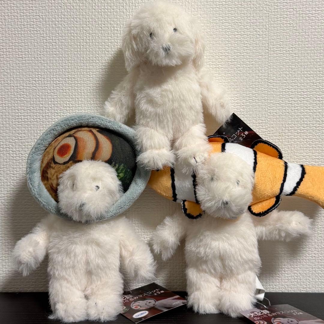 amu＠プロフィール必読