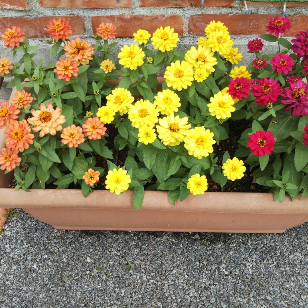 顔を洗う水✨リピーター✨ 美顔器 ウォーターピーリング roserine ロゼリーヌ Dr.'s esthetics