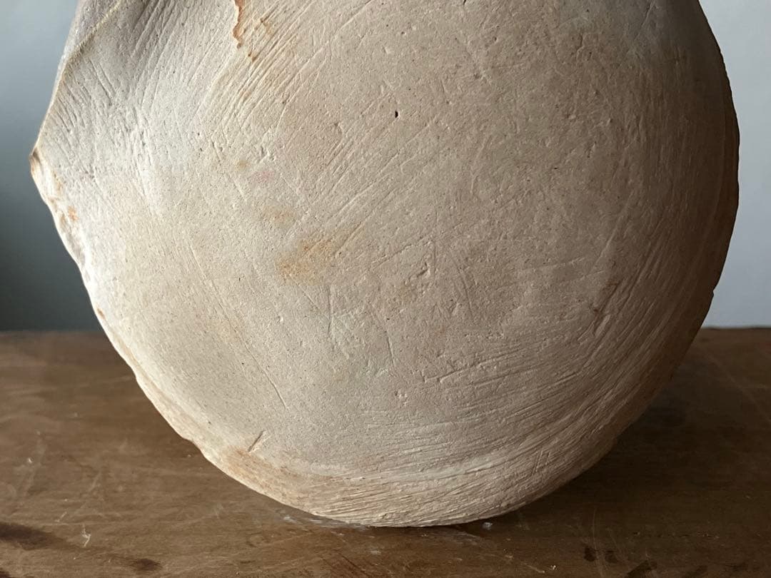 まるで惑星、魚類の糞化石 更新世 コプロライト】日本産うんち化石自然