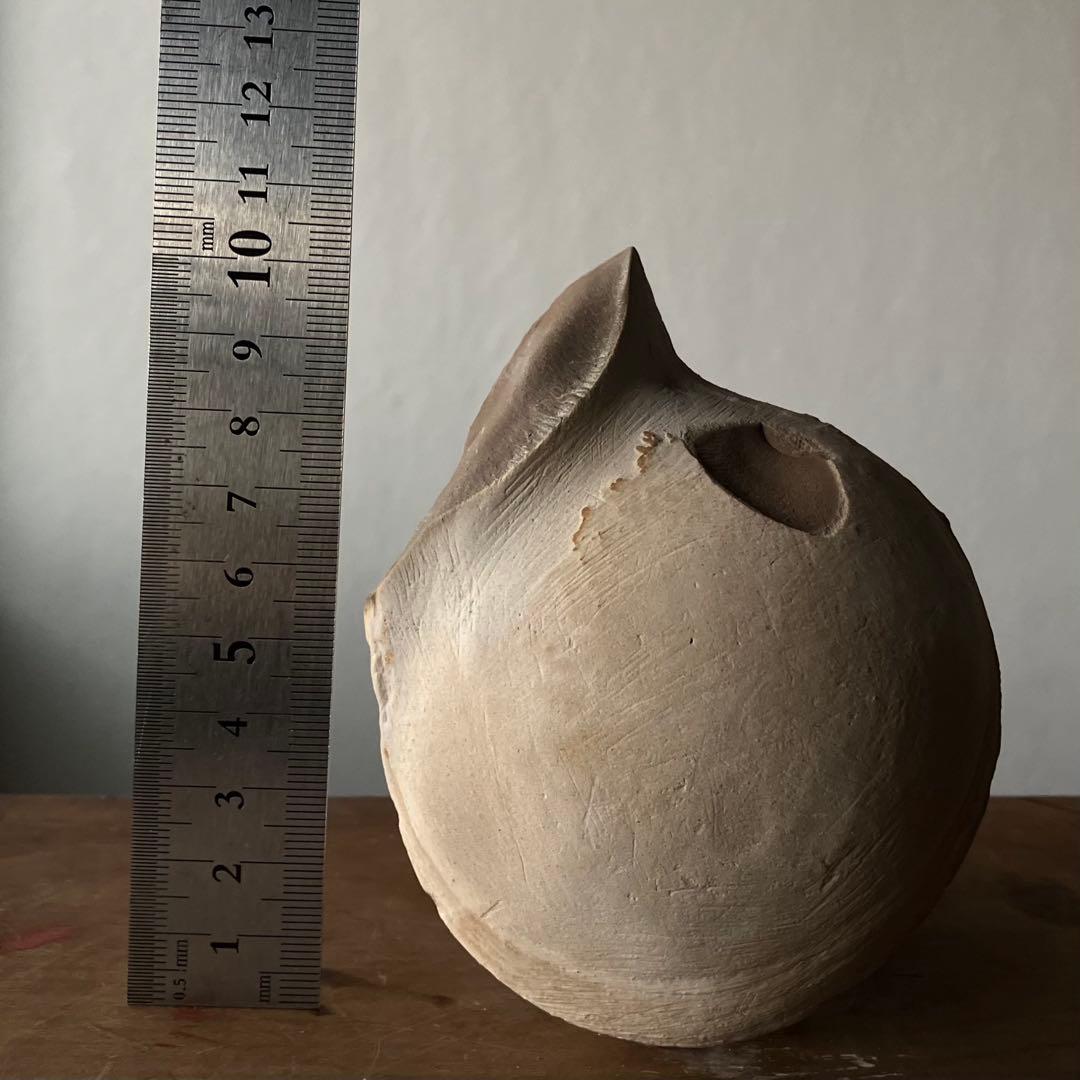 まるで惑星、魚類の糞化石 更新世 コプロライト】日本産うんち化石自然