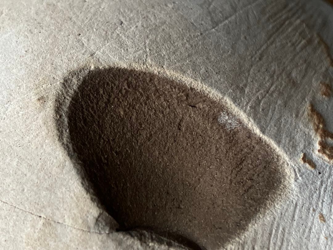 まるで惑星、魚類の糞化石 更新世 コプロライト】日本産うんち化石自然