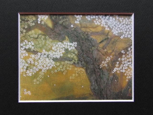 中村豪志、【金剛桜】、希少画集画、風景、自然、さくら