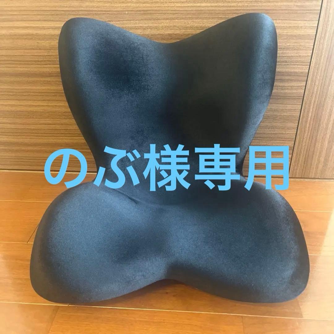 【美品】Style PREMIUM DX スタイルプレミアム デラックス