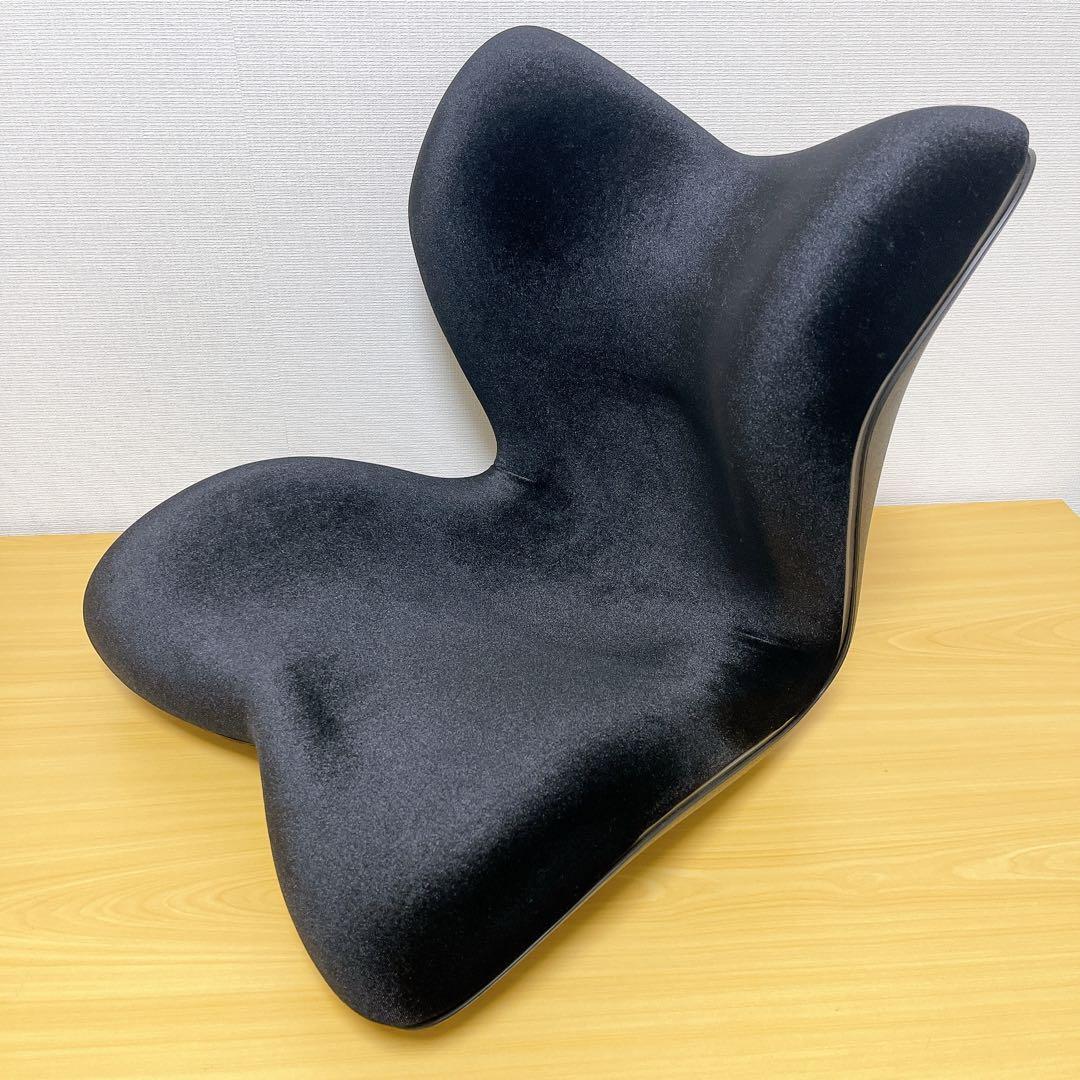 【美品】 Style PREMIUM DX スタイルプレミアムデラックス