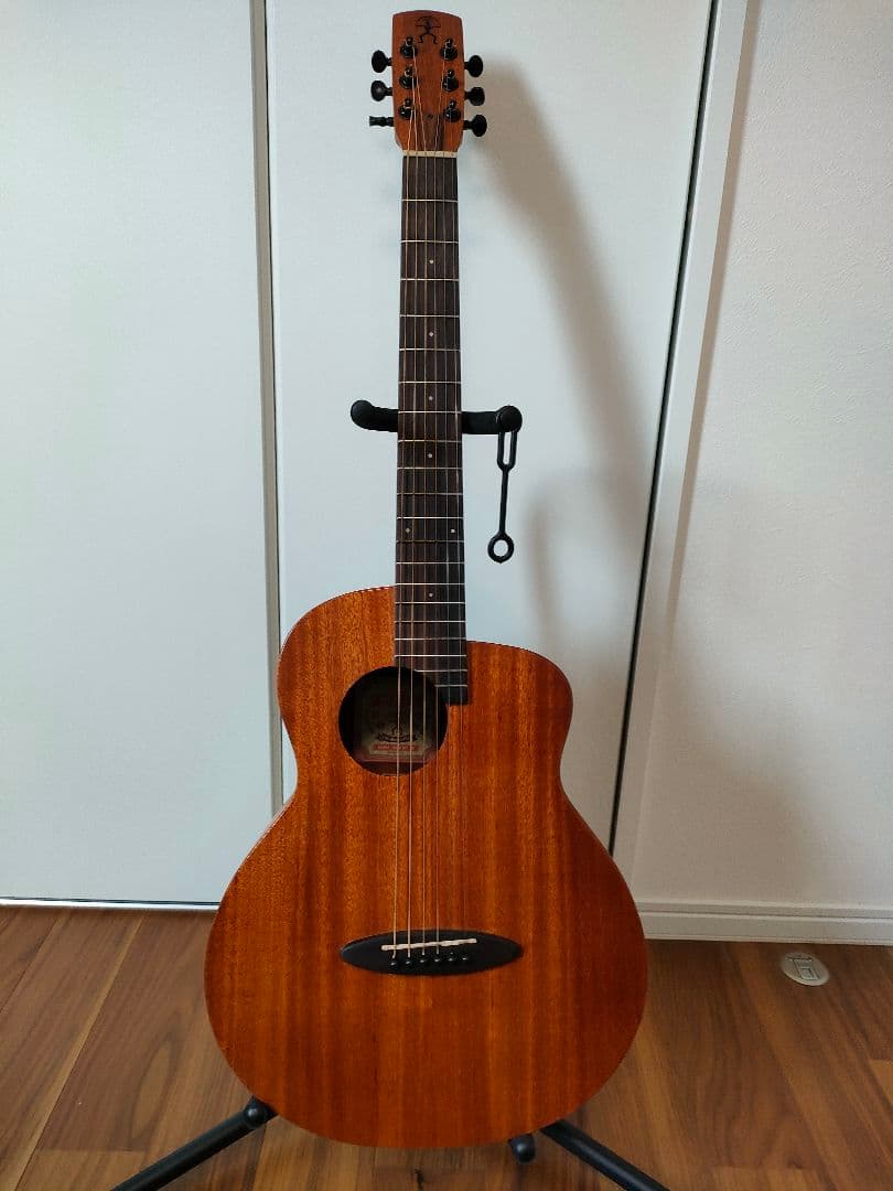 aNueNue Bird MY 20（E）アコースティックギター