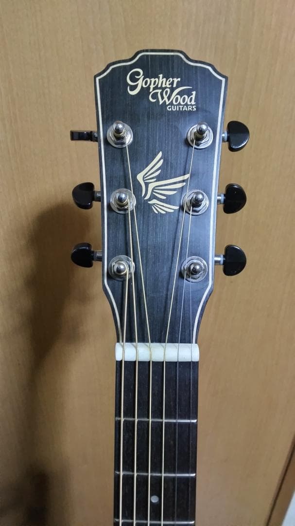 ❤️弦高調整済！「Gopher ゴフェル I110SX 」サウンドピラー内蔵
