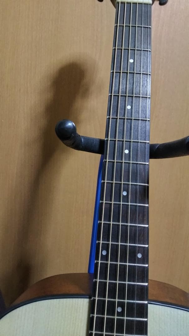 ❤️弦高調整済！「Gopher ゴフェル I110SX 」サウンドピラー内蔵