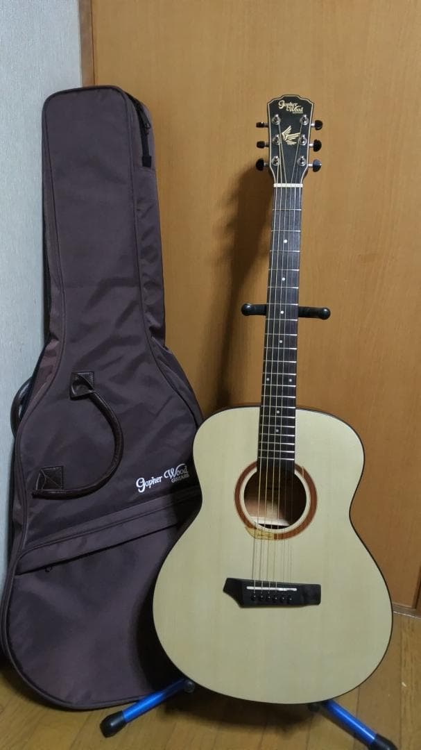 ❤️弦高調整済！「Gopher ゴフェル I110SX 」サウンドピラー内蔵