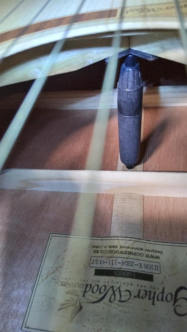 ❤️弦高調整済！「Gopher ゴフェル I110SX 」サウンドピラー内蔵