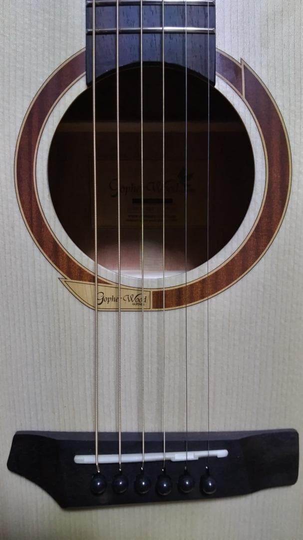 ❤️弦高調整済！「Gopher ゴフェル I110SX 」サウンドピラー内蔵