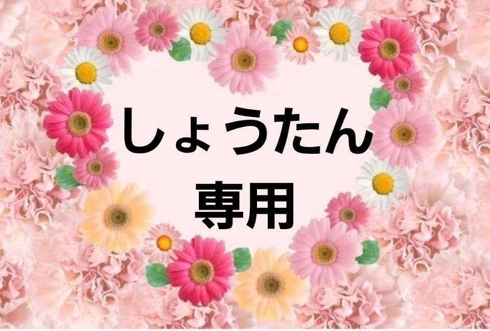 Sanrio シナモロール ハンカチ 新品