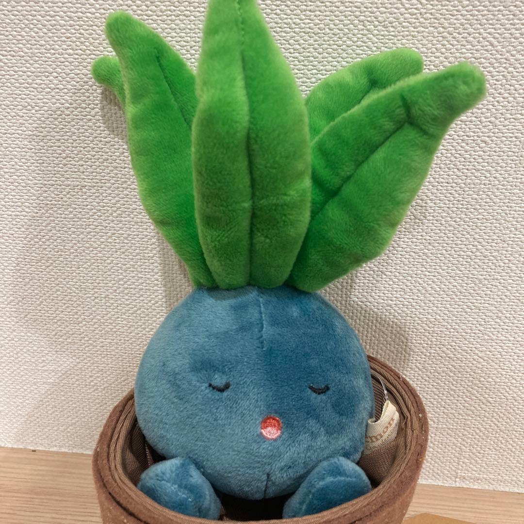 ポケモンナゾノクサぬいぐるみ(Pokémon Grassy Gardening) - メルカリ