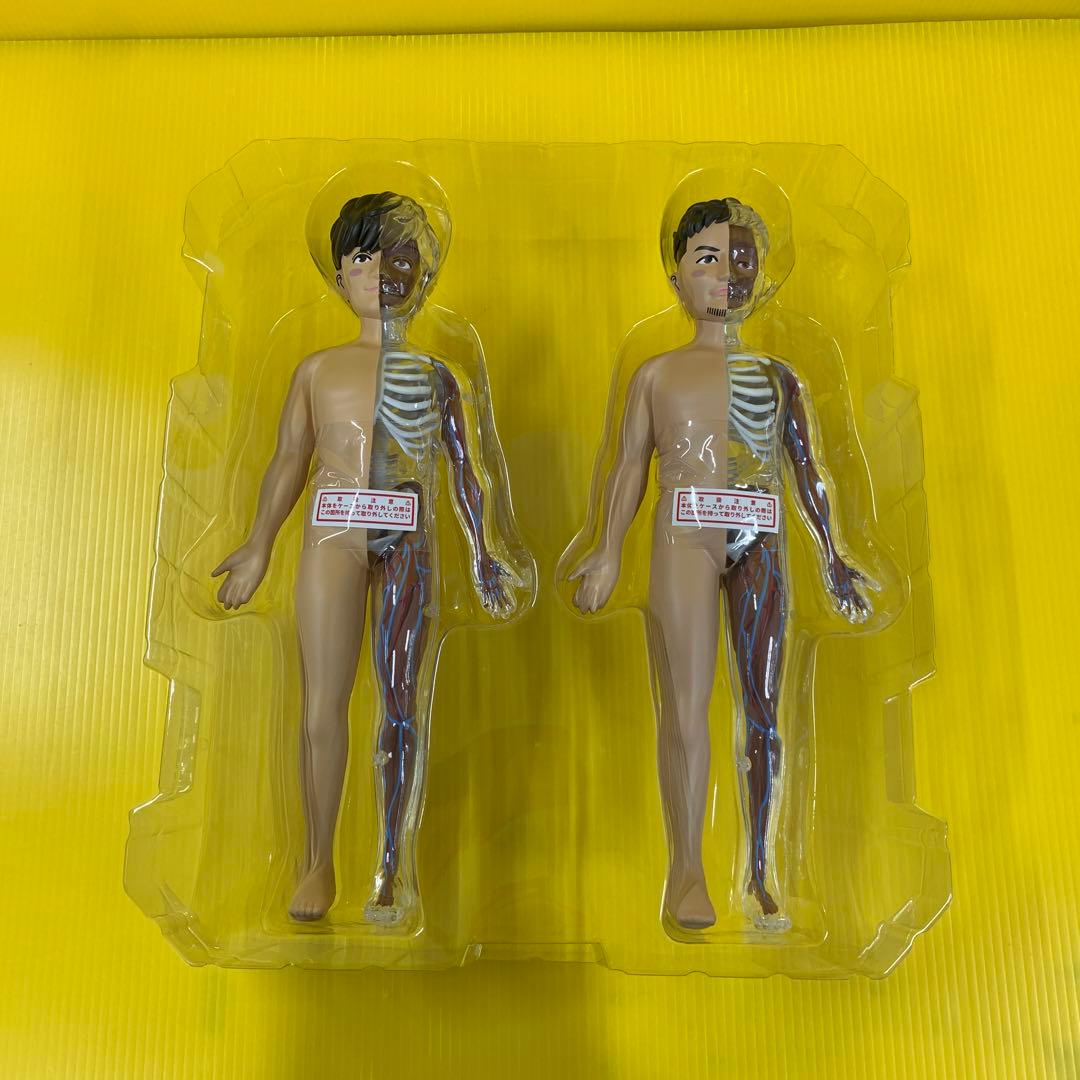 人体模型 ポルノグラフィティ A!SMART限定 - メルカリ