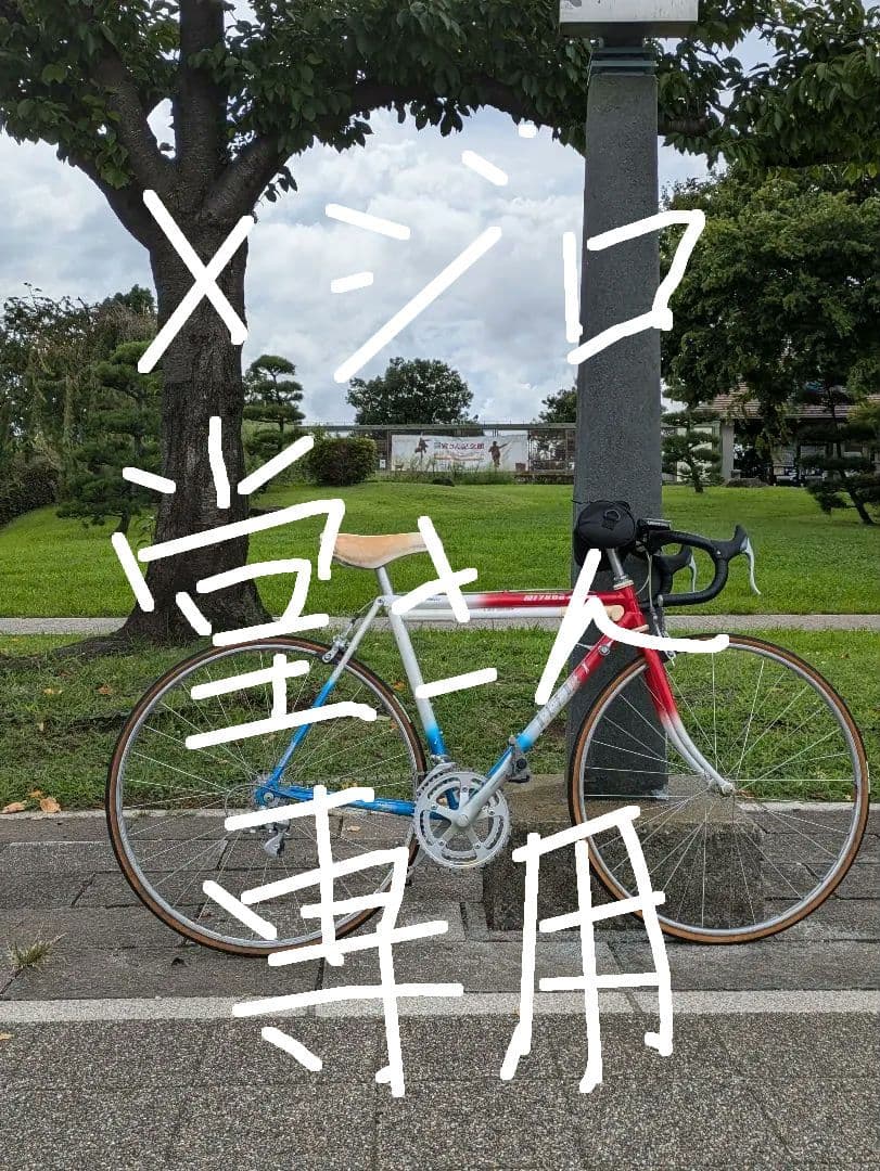 ミヤタ ロードバイク フレームセット