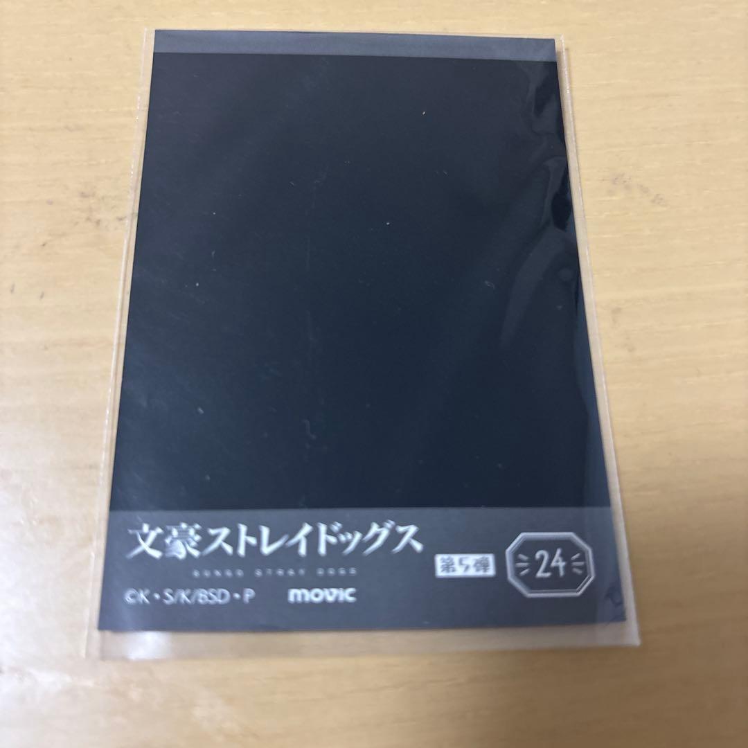 文スト 文豪ストレイドッグス フョードル・ドストエフスキー ぱしゃ