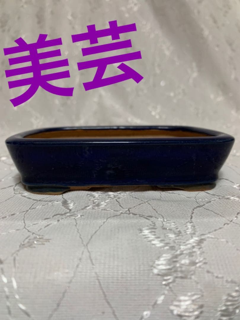 美芸　盆栽鉢