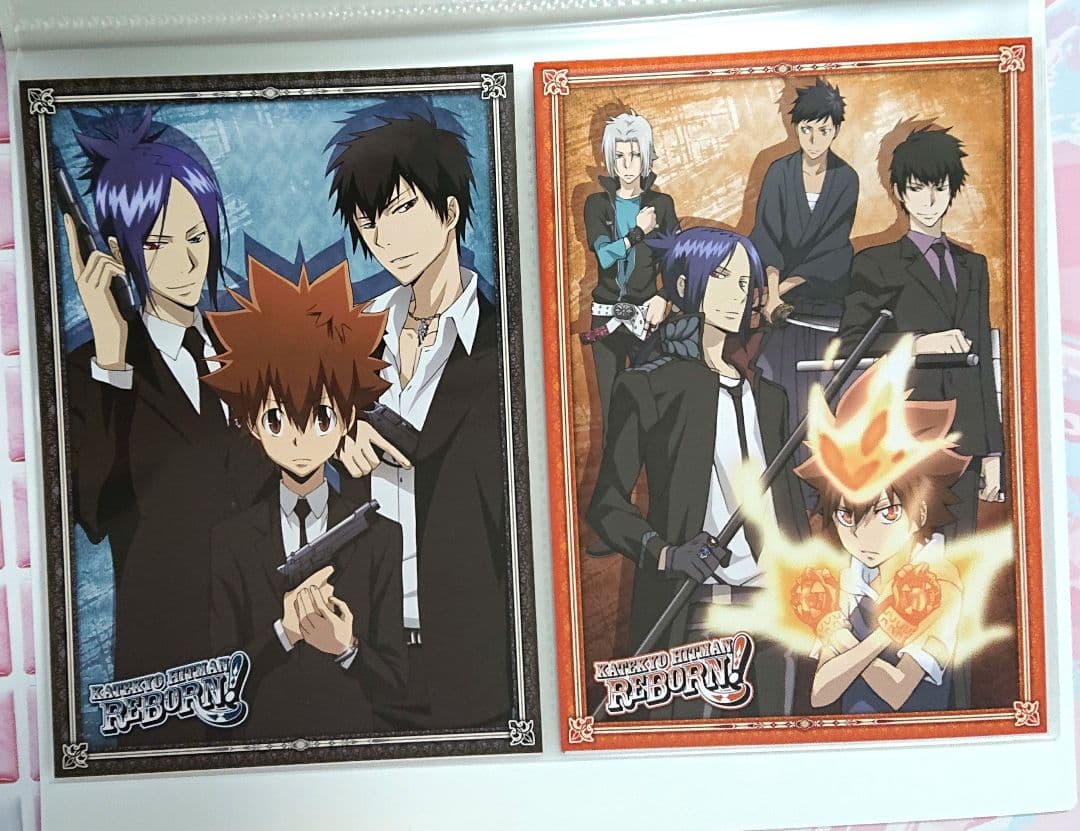 家庭教師ヒットマンREBORN！ ファイル付きビッグポストカードセット