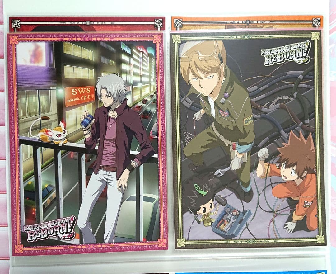 家庭教師ヒットマンREBORN！ ファイル付きビッグポストカードセット