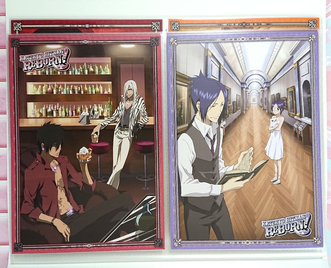 家庭教師ヒットマンREBORN！ ファイル付きビッグポストカードセット